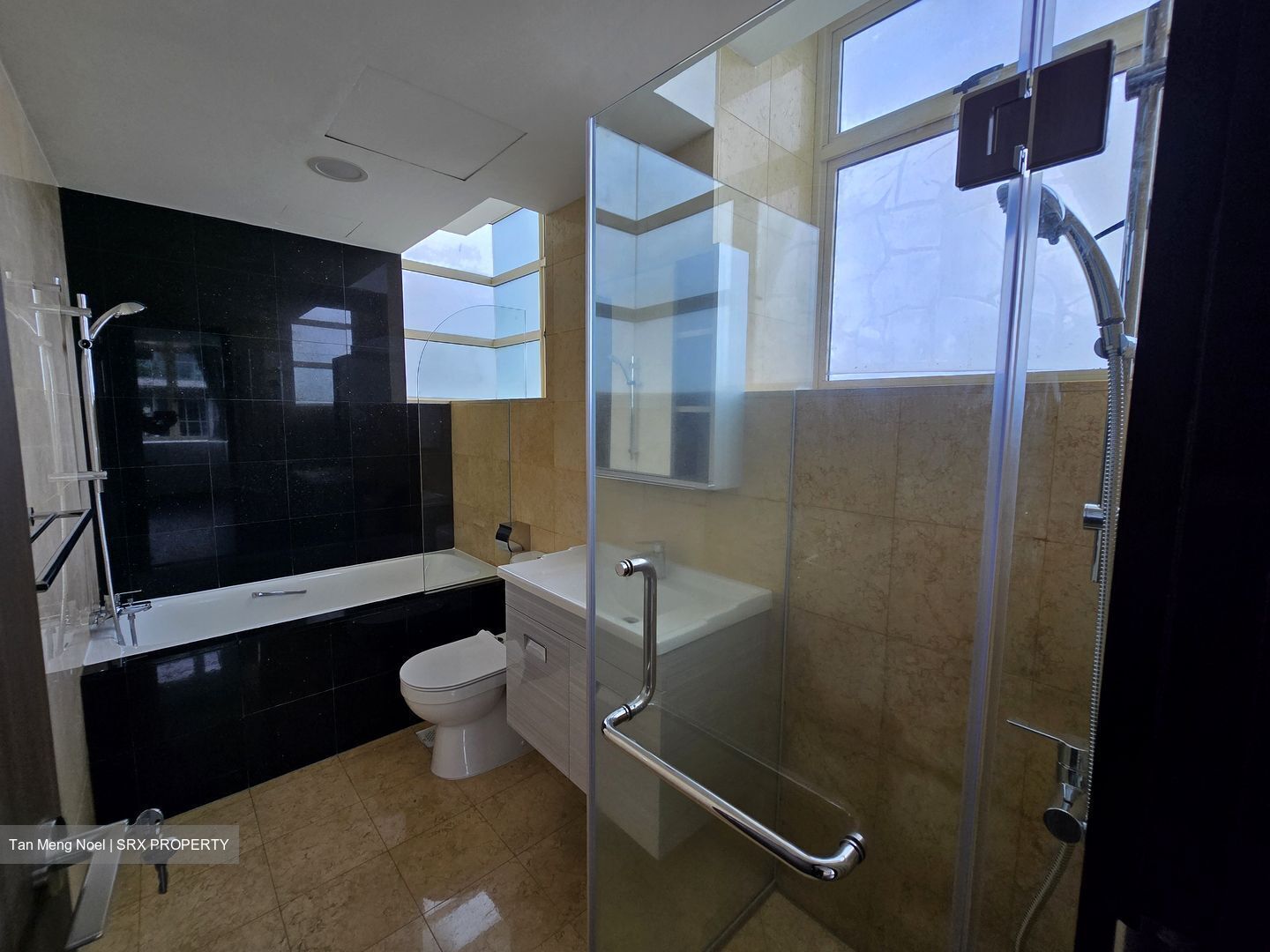 Jervois Regency (D10), Apartment #485090421